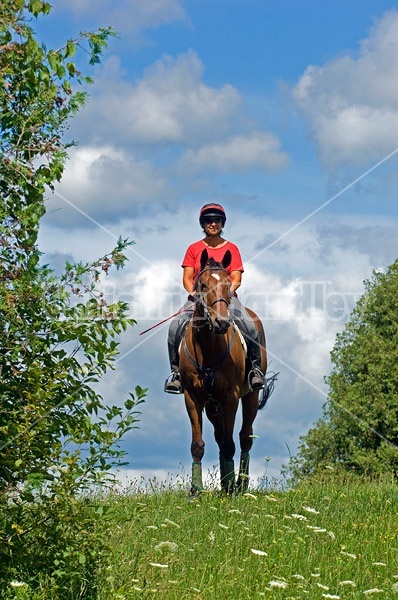 Woman riding bay horse