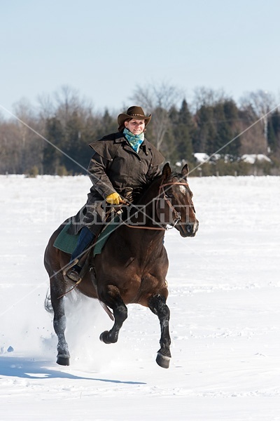 Woman riding quater horse stallion in deep snow