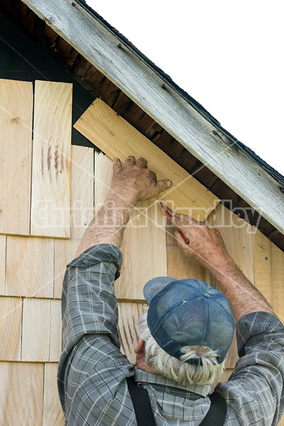 Man putting cedar shingles on the wall of a barn