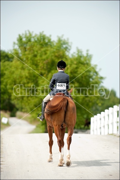 Hunter Jumper Show at Blue Star Farm