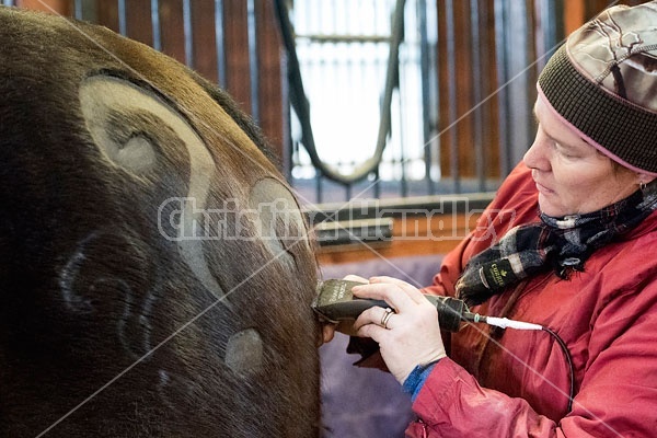 Woman clipping horse