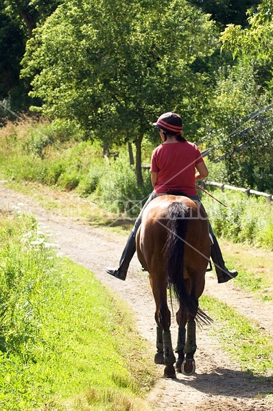 Woman horseback riding on a summer day