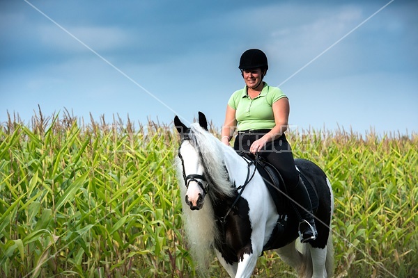 One woman riding a Gypsy Vanner horse.