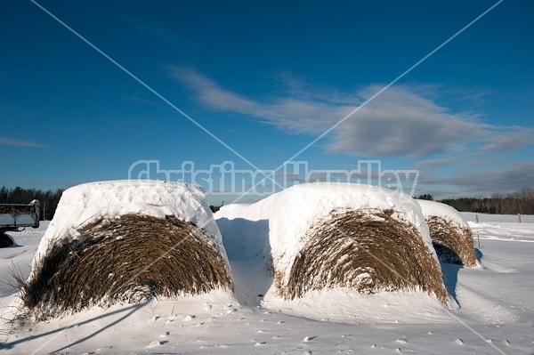 Round bales of hay covered in snow