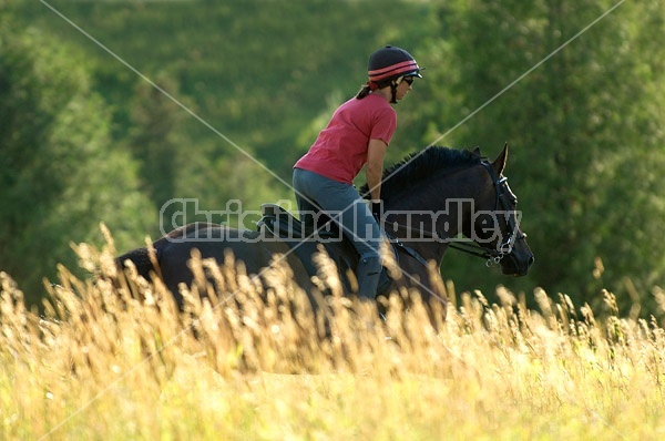 Woman horseback riding in field