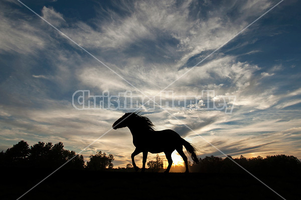 Horses silhouetted against dramatic sky and clouds