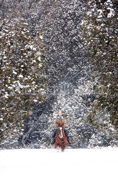 Young woman riding horse in snowstorm in Ontario Canada