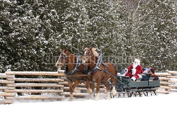 Santa Claus driving sleigh