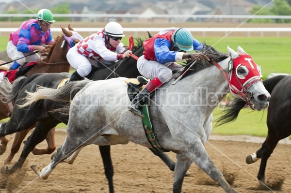 Quarter Horse Racing at Ajax Downs