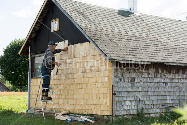 Man putting cedar shingles on the wall of a barn