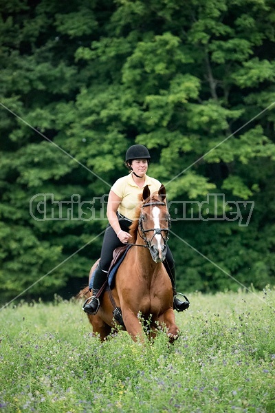 Young woman riding chestnut Thoroughbred horse.