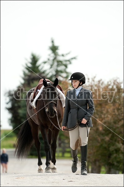 Hunter Jumper Show at Blue Star Farm