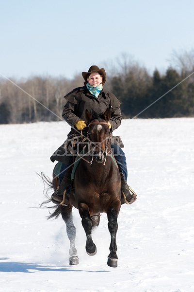 Woman riding quater horse stallion in deep snow