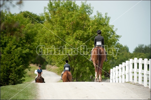 Hunter Jumper Show at Blue Star Farm