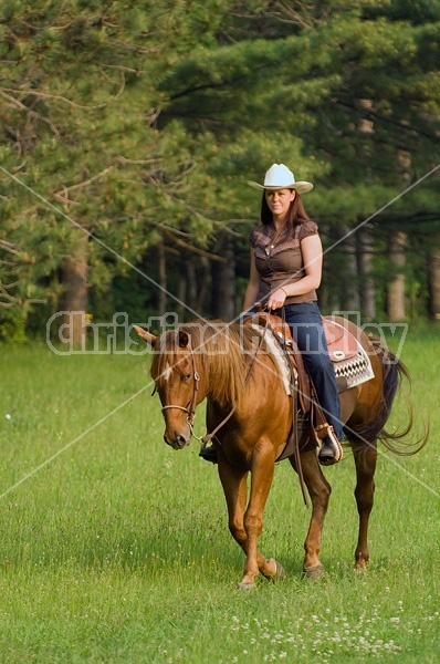 Young woman riding chestnut horse.