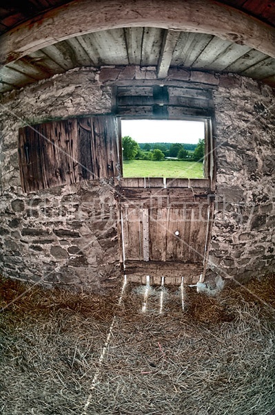 Standing inside an old barn looking out through the door