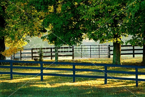 Autumn farm scene