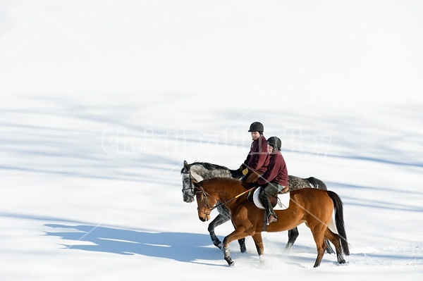 Husband and wife horseback riding through the deep snow