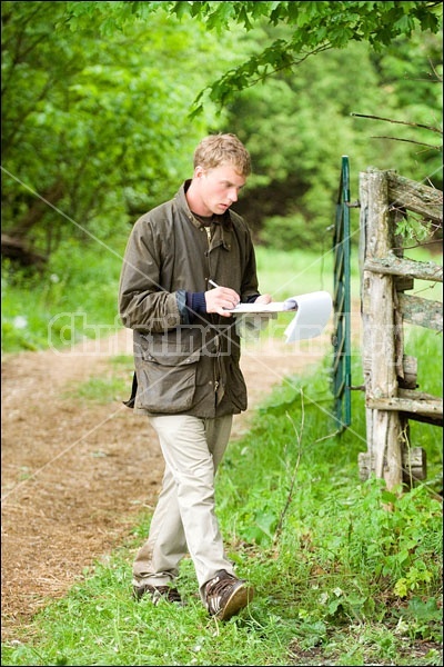 Horse Trials