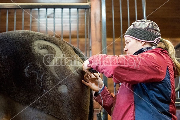 Woman clipping horse