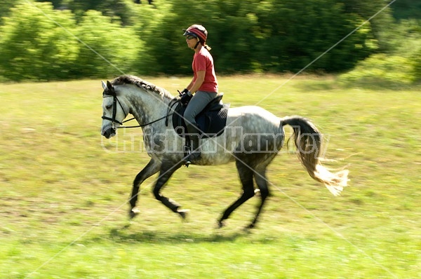 Woman riding gray horse in field