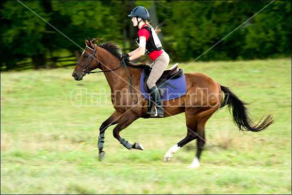 Lanes End Horse Trials