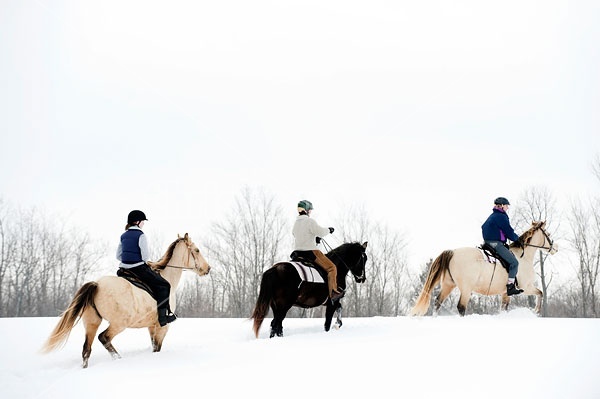 Horseback riding in the snow in Ontario Canada