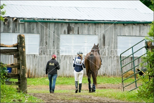 Horse Trials