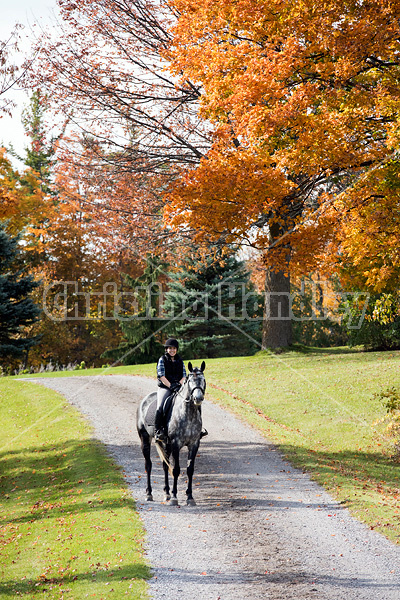 Young woman riding gray horse in the autumn colors