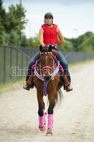 Quarter Horse Racing at Ajax Downs