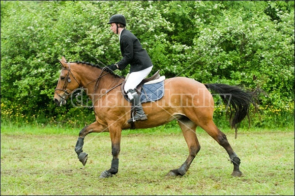 Killusty Horse Trials Fenelon Falls Ontario Canada