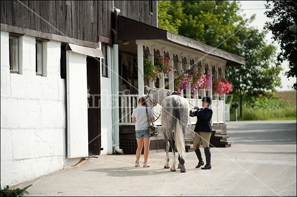 Hunter Jumper Show at Blue Star Farm