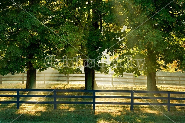 Autumn farm scene