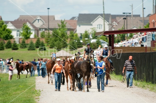 Quarter Horse Racing at Ajax Downs