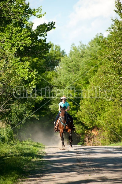 Woman trail riding on Standardbred mare