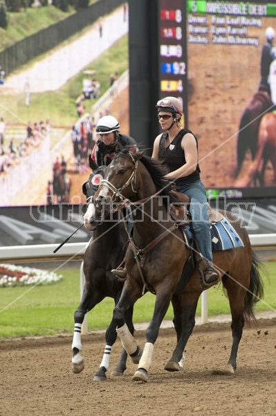 Quarter Horse Racing at Ajax Downs