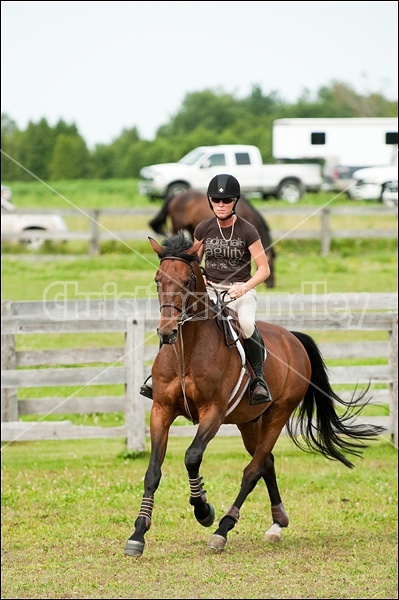 Hunter Jumper Show at Blue Star Farm