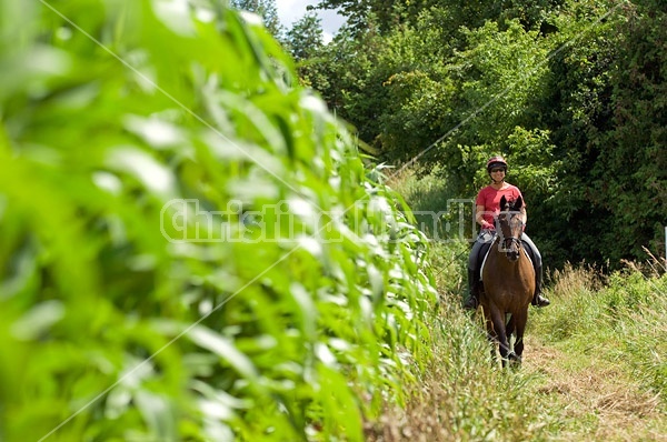 Woman horseback riding