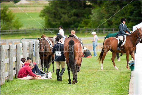 Hunter Jumper Show at Blue Star Farm