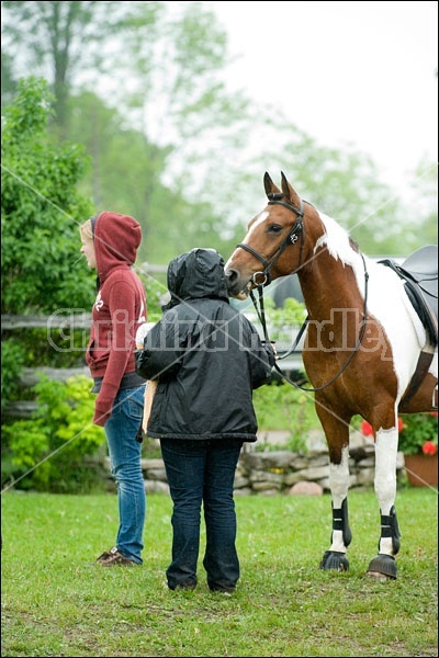 Horse Trials