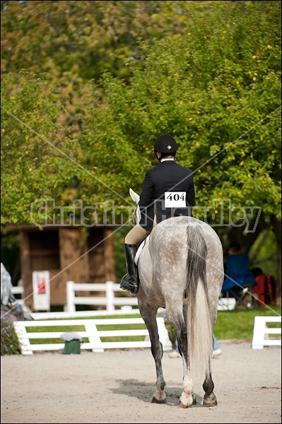 Hunter Jumper Show at Blue Star Farm