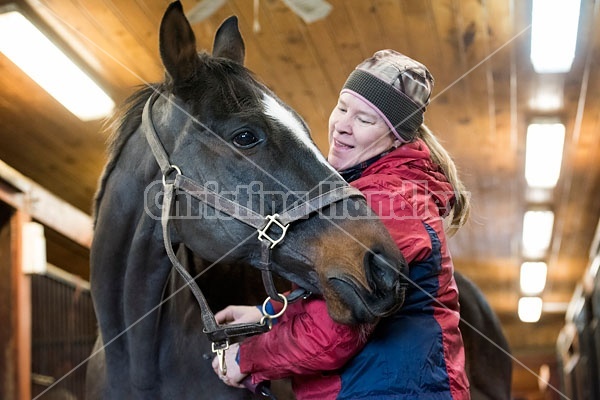 Woman clipping horse