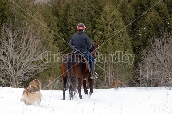 Woman horseback riding in the winter