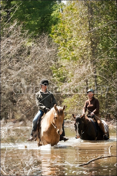 Riding Rocky Mountain Horses