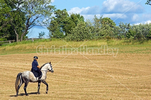 Woman riding gray horse in field