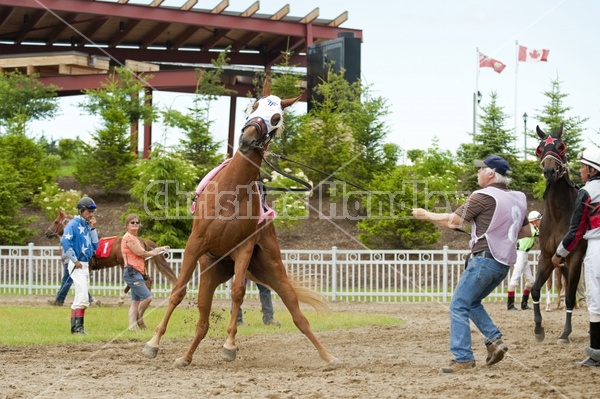 Quarter Horse Racing at Ajax Downs