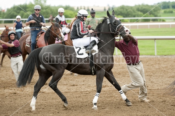 Quarter Horse Racing at Ajax Downs