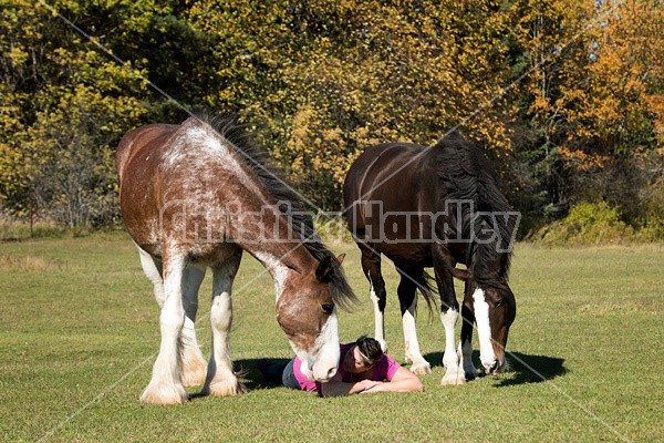 Portrait of a woman and her two horses