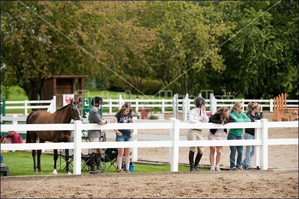 Hunter Jumper Show at Blue Star Farm