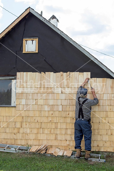 Man putting cedar shingles on the wall of a barn